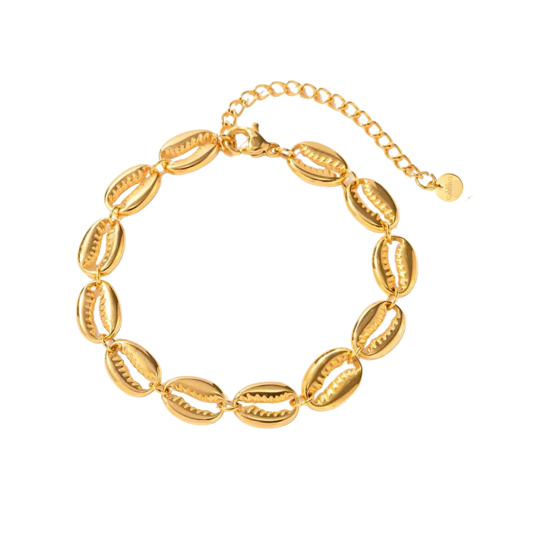 Stainless steel shell bracelet