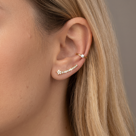 Stellacadente Ohrklemmen