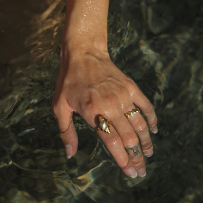 Conchiglia Dorata Ring