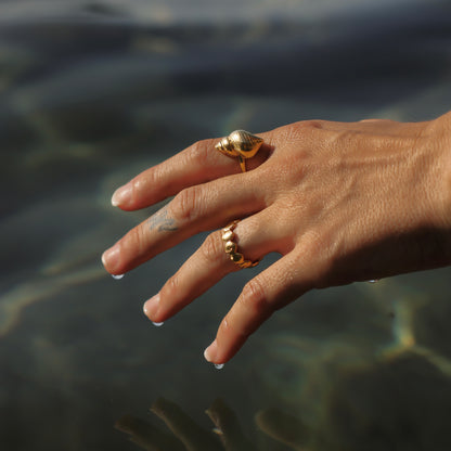 Conchiglia Dorata Ring