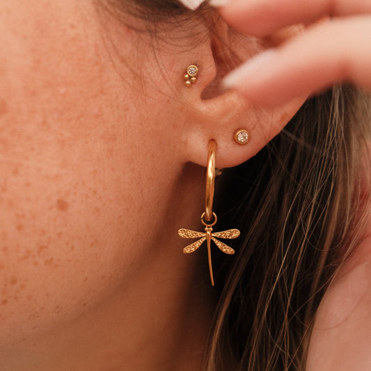 goldene Libellen Ohrringe