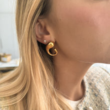 Load the image into the gallery viewer, INCREDIBILE earrings
