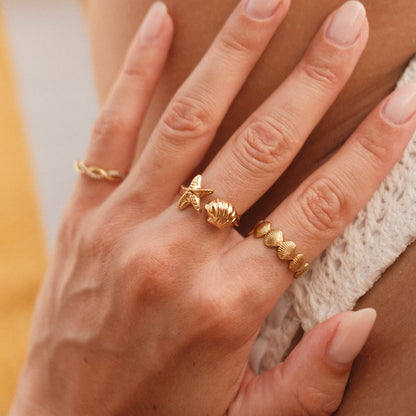 Costa Marina Bundle